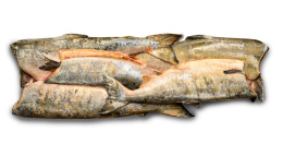 Тушка Кета потр., б/г  мороженая 1/22кг+