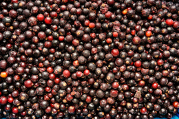 Черная смородина КИТАЙ вес.1/10