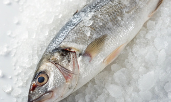 Рыба замороженная